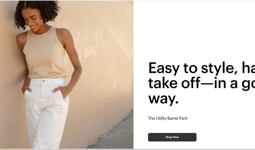  Everlane Review: Buy the best and elegant dresses in the online store